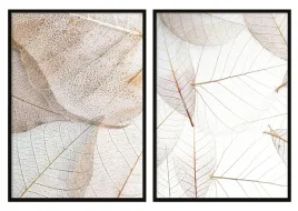obrazy-w-ramie-53x73cm-dyptyk-komplet-2-obrazow-bezowe-biale-liscie-p714