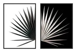 obraz-plakaty-w-ramie-53x73cm-dyptyk-komplet-2obrazow-lisc-black-white-p974
