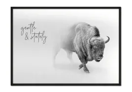 obraz-plakat-w-ramie-53x73-cm-zwierzeta-p621