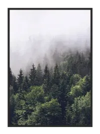 obraz-plakat-w-ramie-43x33-cm-las-p612-pion