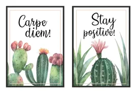 obrazy-w-ramie-33x43cm-dyptyk-komplet-2-obrazow-kaktusy-carpe-diem-p980