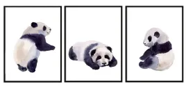 obraz-plakaty-w-ramie-33x43cm-tryptyk-komplet-3-obrazow-panda-pandy-pd292