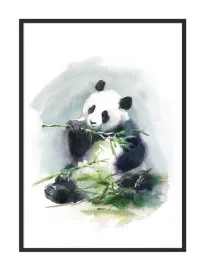 obraz-plakat-w-ramie-33x43-cm-panda-pd274