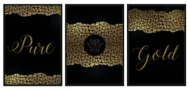 obraz-plakaty-w-ramie-53x73cm-tryptyk-komplet-3-obrazow-gold-zloto-p575