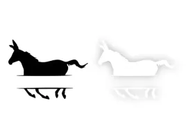 kon-twoj-tekst-naklejka-na-samochod-na-auto-kolor