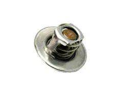 termostat-e0045473-nissan-h20