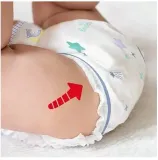 pampers-pants-night-value-pack-4-4-x-25szt-stan-opakowania-oryginalne