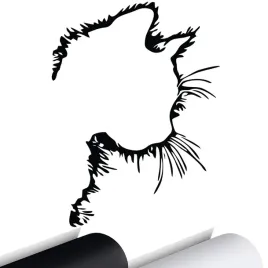 naklejka-grafika-na-samochod-szybe-kot-kotek-kociak-cat-kitty-15x11