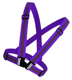 na-p1g83-rower-motor-fioletowe-szelki-odblaskowe