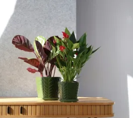 doniczka-zielona-ceramiczna-czarna-doniczka-z-podstawkiem-h-14-cm-o-14-cm
