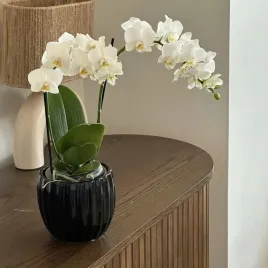 doniczka-ceramiczna-czarna-oslonka-ceramiczna-h-13-cm-o-14-cm