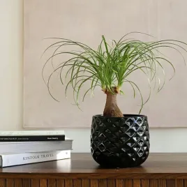 doniczka-czarna-ceramiczna-czarna-oslonka-ceramiczna-h-16-cm-o-19-cm
