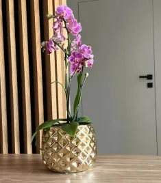 doniczka-zlota-ceramiczna-oslonka-ceramiczna-h-16-cm-o-19-cm