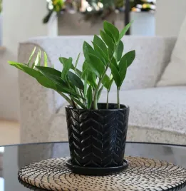 doniczka-czarna-ceramiczna-czarna-doniczka-z-podstawkiem-h-14-cm-o-14-cm