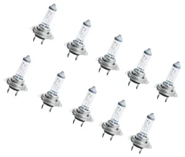 h7-o6x20-12v-55w-px26d-homologacja-10szt-zarowki-h