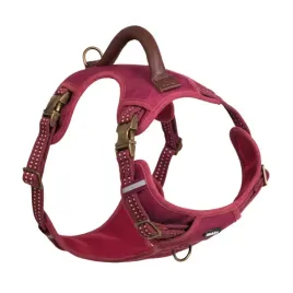 szelki-dla-psa-nobby-sporty-l-25mm-42-60-58-85cm-czerwone