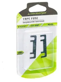 41x11-mm-100a-2-szt-j1s10-bezpieczniki-tasmowe