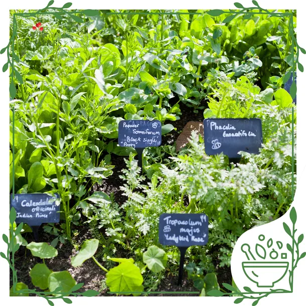 multiwitamina-junior-witaminy-a-d-e-c-b-wsparcie-dla-dzieci-60-kaps-marka-bio-herbs