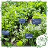 multiwitamina-junior-witaminy-a-d-e-c-b-wsparcie-dla-dzieci-60-kaps-marka-bio-herbs