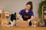 purina-one-mini-small-sensitive-losos-ryz-karma-dla-psa-sucha-psow-800g-kod-producenta-7613036526876
