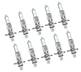 zarowki-n8t19-h1-24v-70w-zarowka-biala-zestaw-10sz