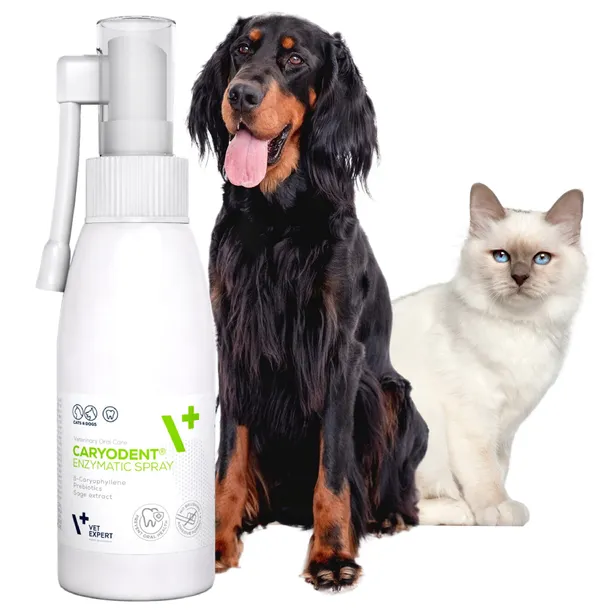 VET EXPERT CARYODENT ENZYMATIC SPRAY do higieny jamy ustnej dla psa i kota