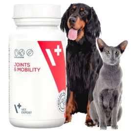 zestawy-witamin-dla-kota-dla-psa-vet-expert-kapsulki-jointsandmobility-30-sz