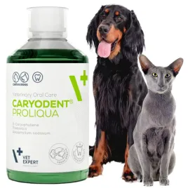 caryodent-proliqua-plyn-do-higieny-jamy-ustnej-dla-psa-kota-vet-expert