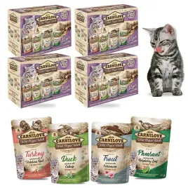 carnilove-cat-pouch-multipack-mokra-karma-dla-kota-mix-smakow-48x85g-4szt