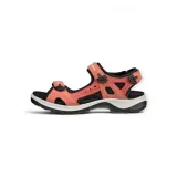 06956361539