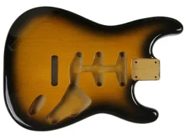 korpus-do-gitary-vparts-bs-1ag-2ts