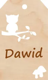 zawieszka-personalizowana-na-prezent-sowa