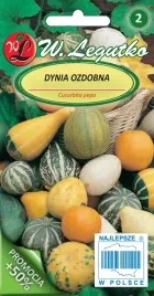 dynia-ozdobna-mieszanka-nasiona-tradycyjne-w-legutko