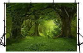 tlo-fotograficzne-baner-dekoracyjny-materialowy-21x15m-motyw-krajobraz