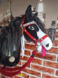 hobby-horse-tinker-stan-nowy