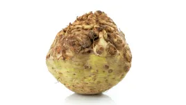 seler-korzen-swiezy-1-kg