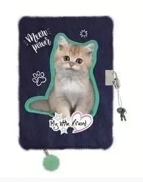 pamietnik-z-klodka-wlochacz-a5-96k-kitty-party6801