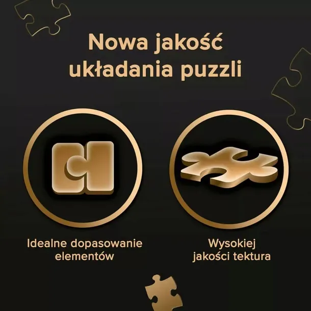 puzzle-1000-premium-neuschwanstein-castle-10813-liczba-elementow-1000