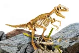 i-m-genius-super-kit-t-rex-1103-wiek-dziecka-7-lat