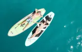 deska-sup-waydoo-4010000037-marka-waydoo-kod-producenta-4010000037