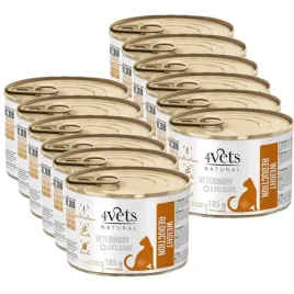 4vets-cat-weight-reduction-12x185g