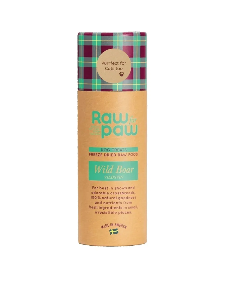raw-for-paw-dzik-45g