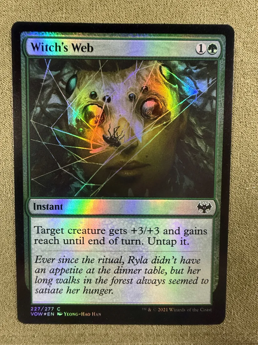 magic-the-gathering-witch-s-web-foil