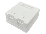 lanview-surface-mount-box-for-2-x