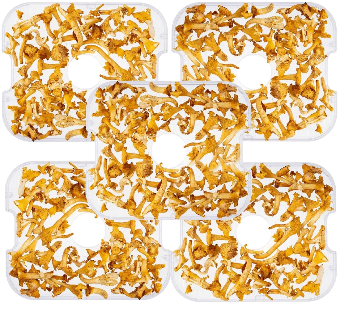 suszarka-do-grzybow-803a-nr-0308