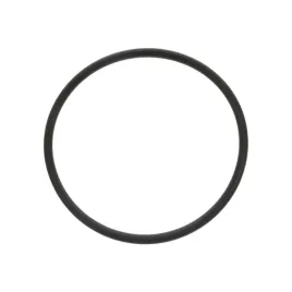 o-ring-obudowy-wariatora-od-silnika-can-am-maverick-x3-ryker-420450520-oem