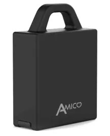 amico-ambrogio
