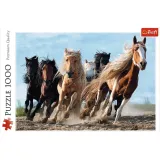puzzle-1000-el-galopujace-konie