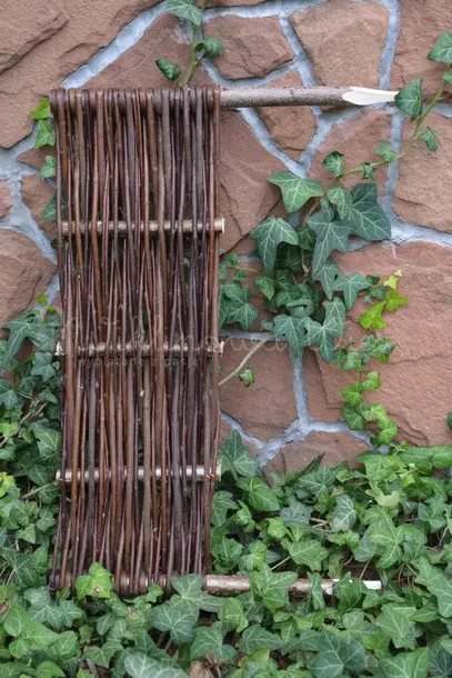 palisada-wiklinowa-20-50