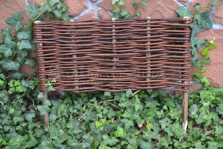 palisada-wiklinowa-30-50